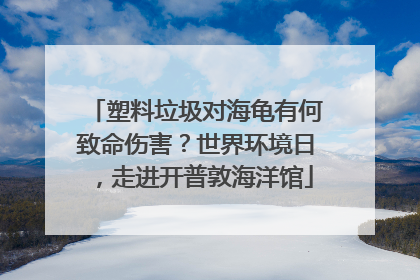 塑料垃圾对海龟有何致命伤害？世界环境日，走进开普敦海洋馆