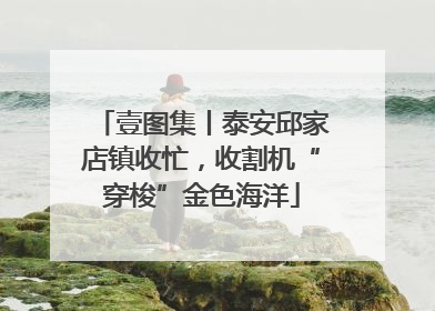 壹图集丨泰安邱家店镇收忙，收割机“穿梭”金色海洋
