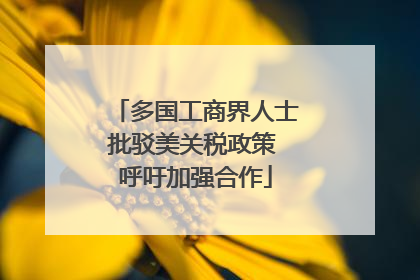 多国工商界人士批驳美关税政策 呼吁加强合作