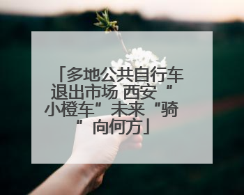 多地公共自行车退出市场 西安“小橙车”未来“骑”向何方