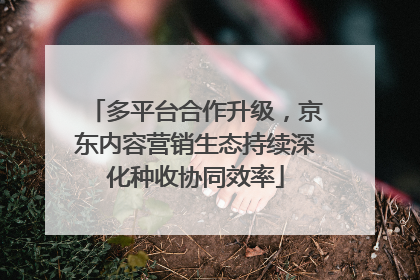 多平台合作升级，京东内容营销生态持续深化种收协同效率