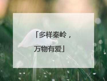 多样秦岭，万物有爱