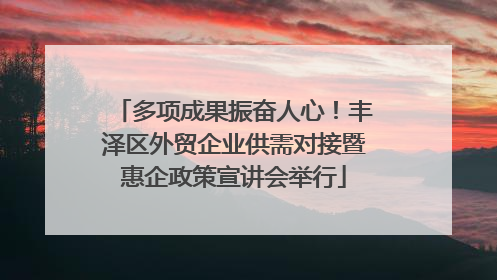 多项成果振奋人心！丰泽区外贸企业供需对接暨惠企政策宣讲会举行