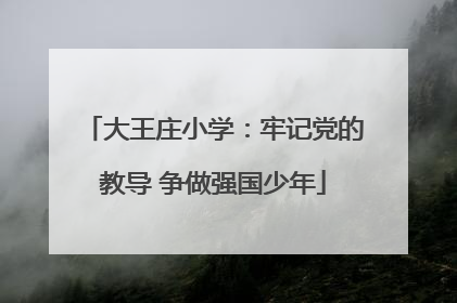 大王庄小学：牢记党的教导 争做强国少年
