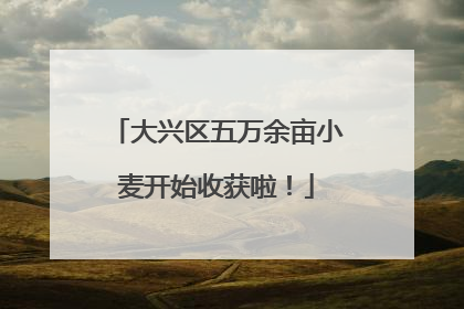 大兴区五万余亩小麦开始收获啦！