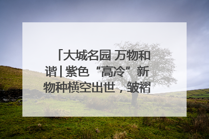 大城名园 万物和谐│紫色“高冷”新物种横空出世，皱褶叶片暗藏进化密码