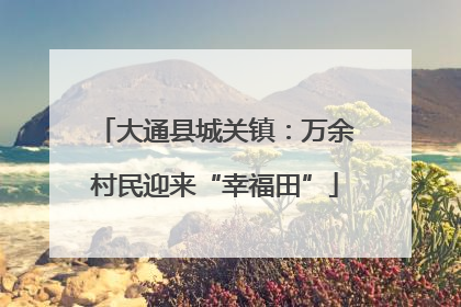 大通县城关镇：万余村民迎来“幸福田”