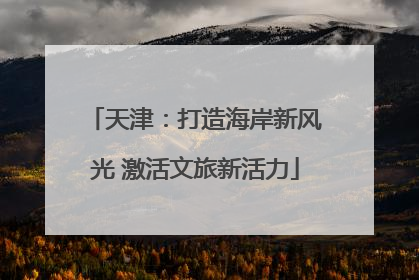 天津：打造海岸新风光 激活文旅新活力
