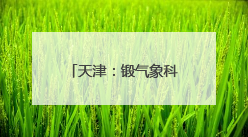 天津：锻气象科技强“芯” 护韧性城市建设｜增发国债气象项目落地见效系列报道
