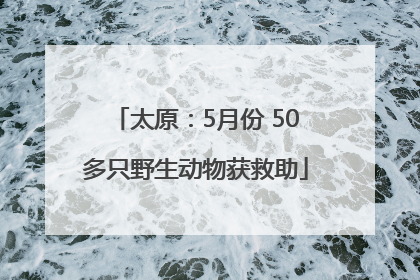 太原：5月份 50多只野生动物获救助