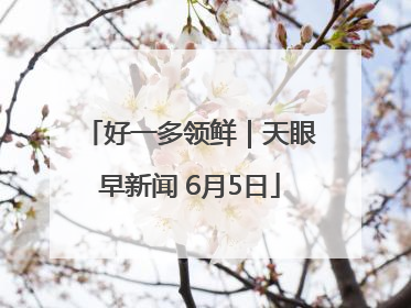 好一多领鲜｜天眼早新闻 6月5日
