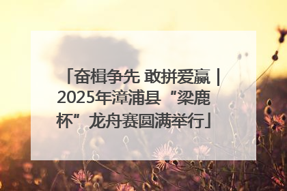 奋楫争先 敢拼爱赢｜2025年漳浦县“梁鹿杯”龙舟赛圆满举行