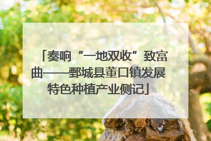 奏响“一地双收”致富曲——鄄城县董口镇发展特色种植产业侧记