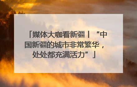媒体大咖看新疆丨“中国新疆的城市非常繁华，处处都充满活力”