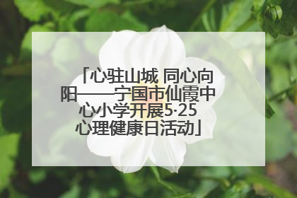 心驻山城 同心向阳——宁国市仙霞中心小学开展5·25心理健康日活动