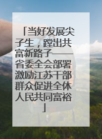 当好发展尖子生，蹚出共富新路子——省委全会部署激励江苏干部群众促进全体人民共同富裕