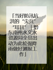 当好防汛抗洪的“尖兵”“耳目”｜黔东南州水文水资源局全员出动为此轮强降雨做好测报工作