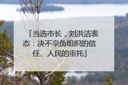 当选市长，刘洪洁表态：决不辜负组织的信任、人民的重托