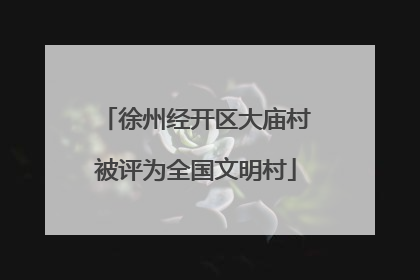徐州经开区大庙村被评为全国文明村