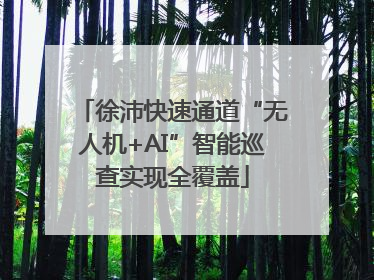 徐沛快速通道“无人机+AI”智能巡查实现全覆盖