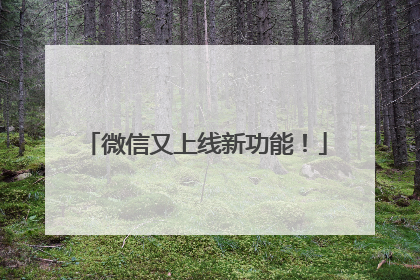 微信又上线新功能！