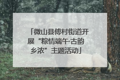 微山县傅村街道开展“粽情端午·古韵乡浓”主题活动