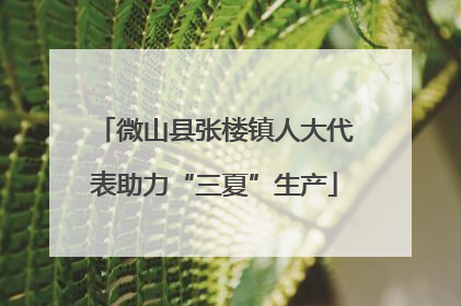 微山县张楼镇人大代表助力“三夏”生产