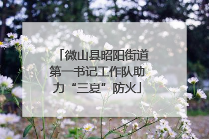 微山县昭阳街道第一书记工作队助力“三夏”防火