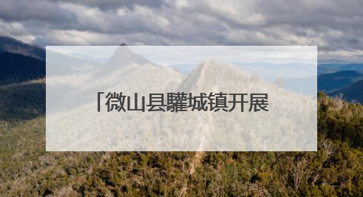 微山县驩城镇开展“青春心向党 奋进新征程”主题宣讲