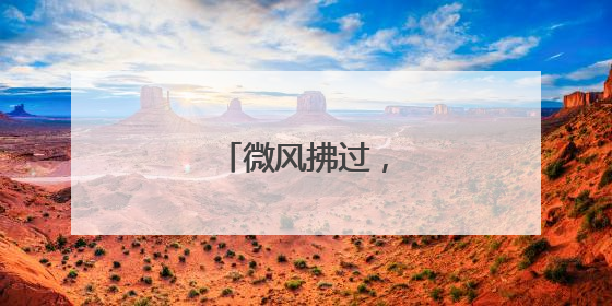 微风拂过，露台生金！