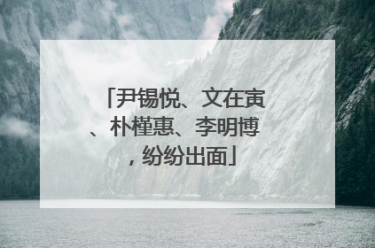 尹锡悦、文在寅、朴槿惠、李明博，纷纷出面