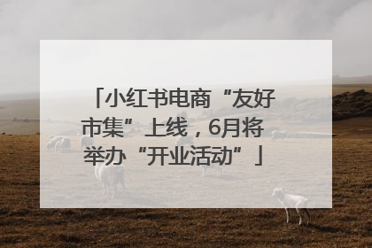 小红书电商“友好市集”上线，6月将举办“开业活动”