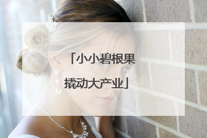 小小碧根果撬动大产业