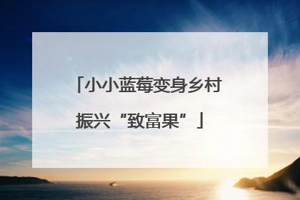 小小蓝莓变身乡村振兴“致富果”