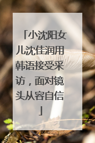 小沈阳女儿沈佳润用韩语接受采访，面对镜头从容自信