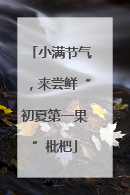 小满节气，来尝鲜“初夏第一果”枇杷