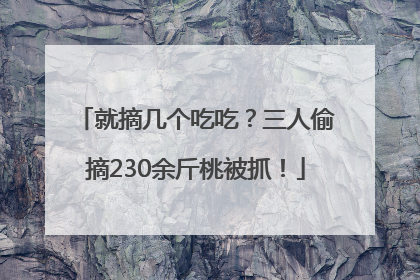 就摘几个吃吃？三人偷摘230余斤桃被抓！