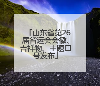 山东省第26届省运会会徽、吉祥物、主题口号发布
