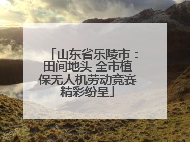 山东省乐陵市：田间地头 全市植保无人机劳动竞赛精彩纷呈