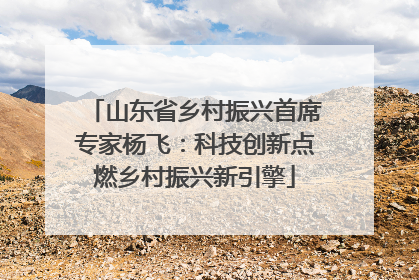 山东省乡村振兴首席专家杨飞：科技创新点燃乡村振兴新引擎