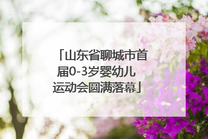 山东省聊城市首届0-3岁婴幼儿运动会圆满落幕