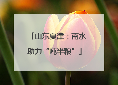 山东夏津：南水助力“吨半粮”