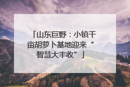 山东巨野：小镇千亩胡萝卜基地迎来“智慧大丰收”