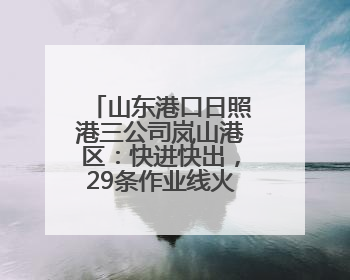 山东港口日照港三公司岚山港区：快进快出，29条作业线火力全开