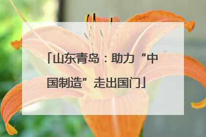 山东青岛：助力“中国制造”走出国门
