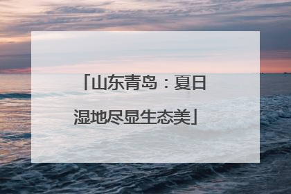 山东青岛：夏日湿地尽显生态美