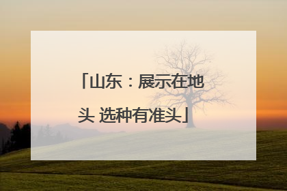 山东：展示在地头 选种有准头