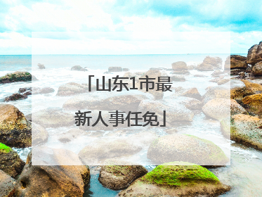 山东1市最新人事任免