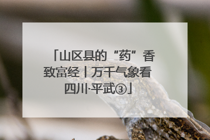 山区县的“药”香致富经丨万千气象看四川·平武③