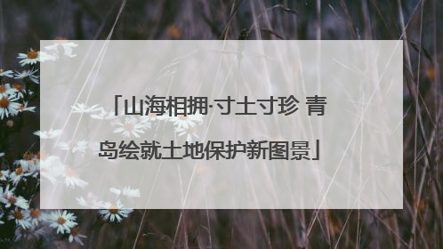 山海相拥·寸土寸珍 青岛绘就土地保护新图景